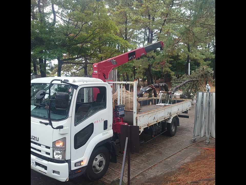project