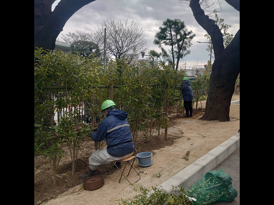 project